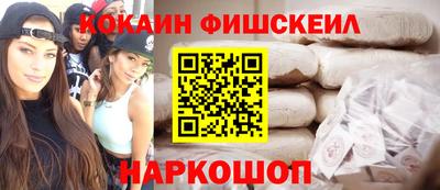 крисы Кулебаки