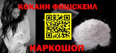 крисы Кулебаки