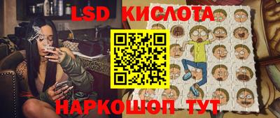 крисы Кулебаки