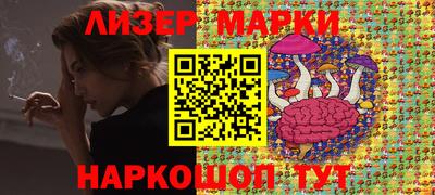 крисы Кулебаки