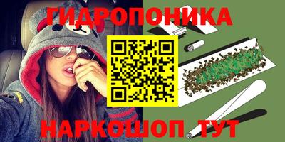 крисы Кулебаки