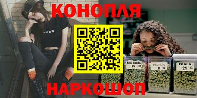 крисы Кулебаки