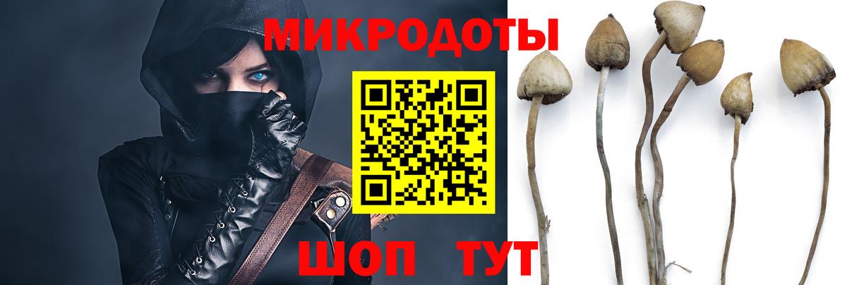 Галлюциногенные грибы прущие грибы  Псилоцибиновые грибы прущие грибы  Ессентуки  Вход с VPN 